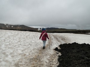 Hochsommer im Norden von Island