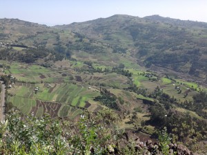 In den Dilb Bergen erfreuen uns die Grünen Terrassen Felder
