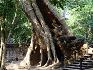 2012 Angkor Wat 078
