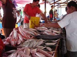 im Fischmarkt
