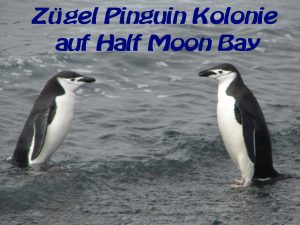 B Half Moon Bay 047 (2)